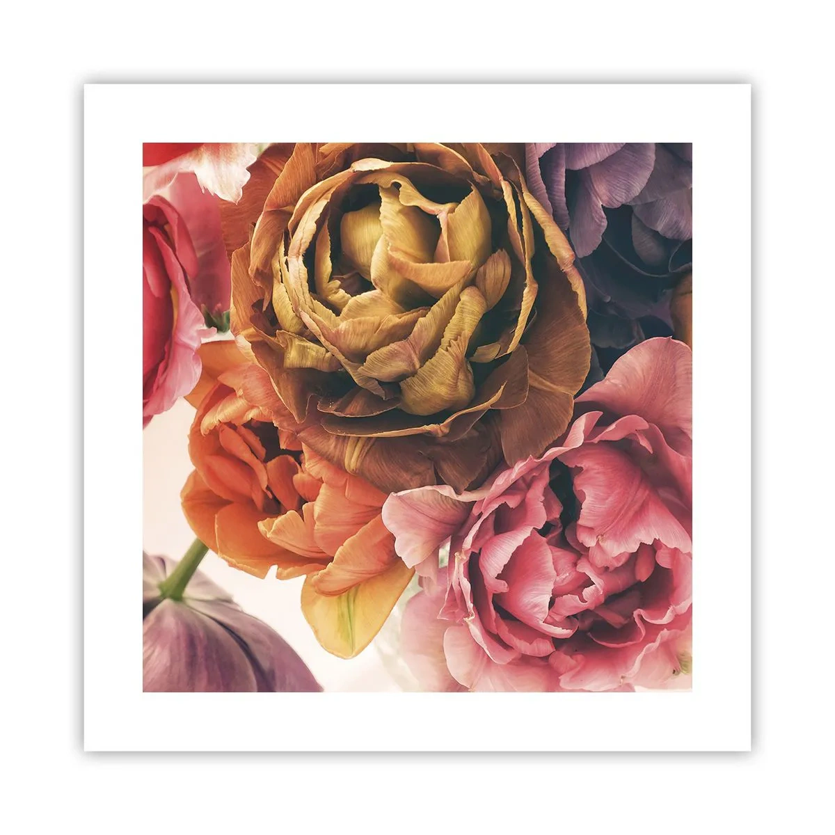 Poster - Een viering van het leven - 40x40 cm