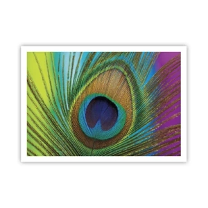Poster - Oog in oog - 100x70 cm