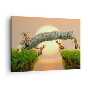 Schilderen op canvas - Mieren bouwen een brug van takken tegen de achtergrond van de ondergaande zon. - 70x50cm - Gelukkig samenwerken - Moderne wanddecoratie voor woonkamer en slaapkamer ARTTOR