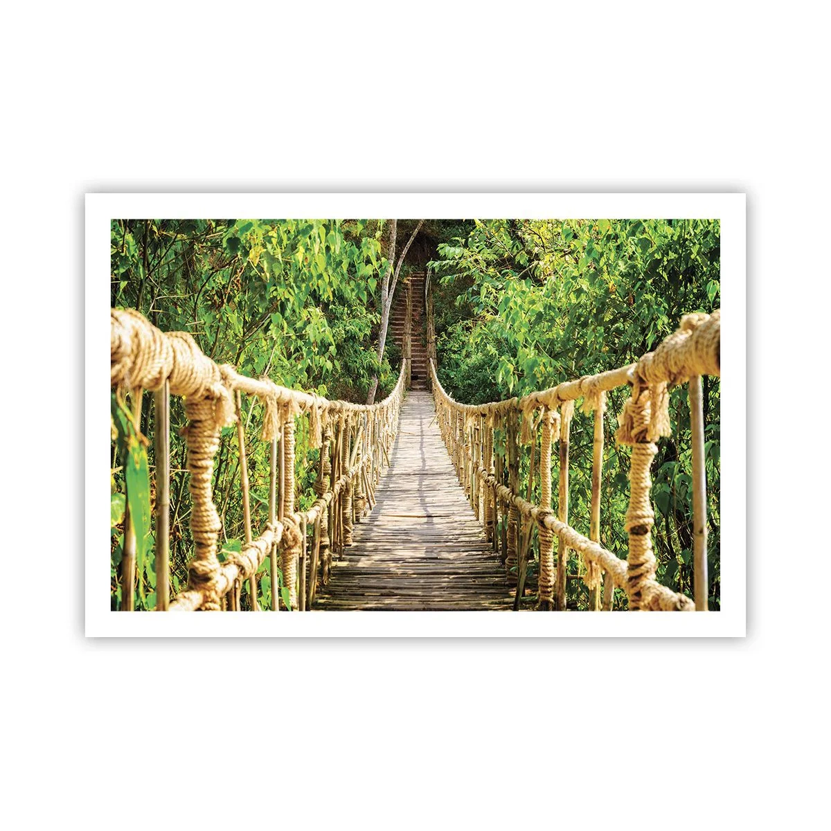 Poster - Opgeschort in het groen - 91x61 cm