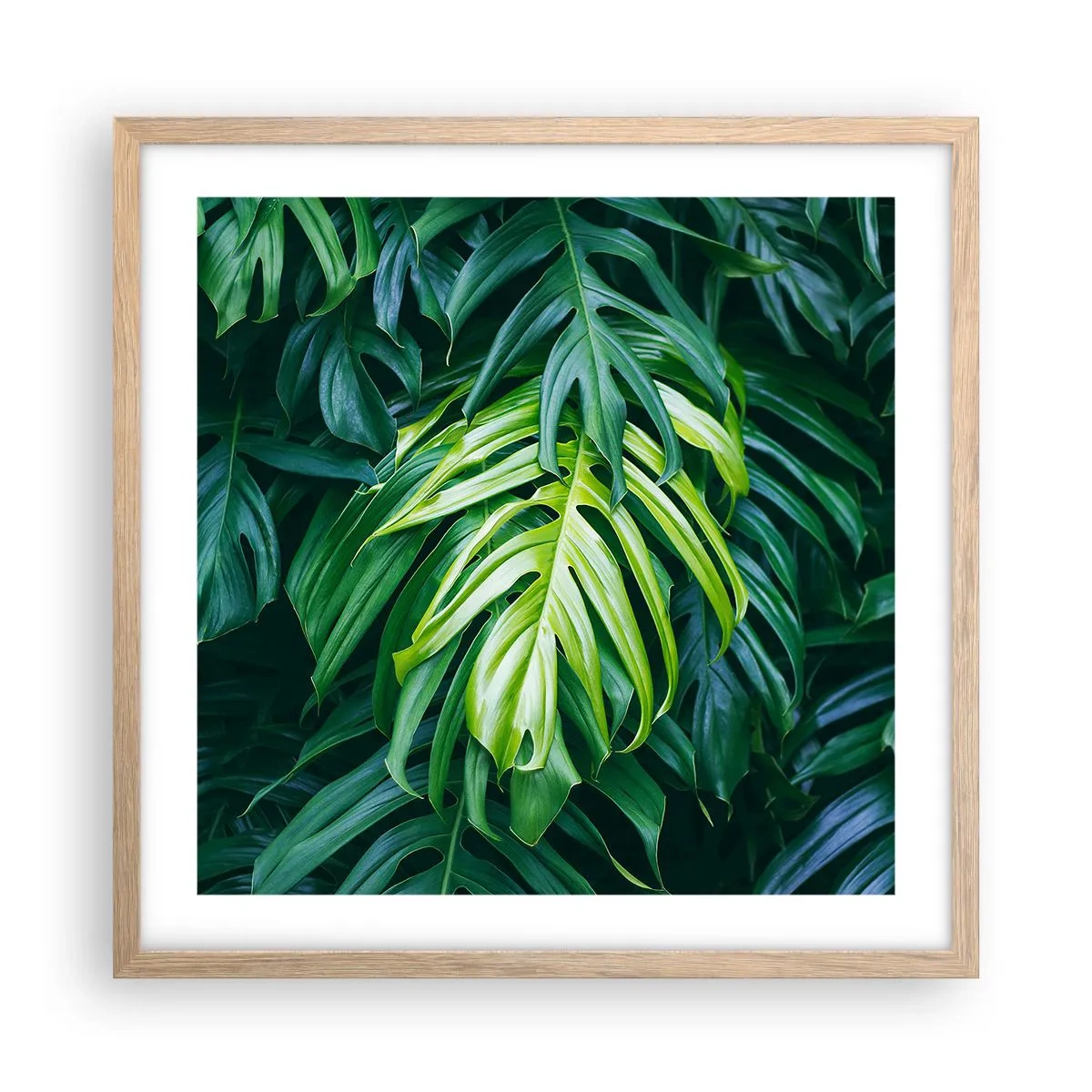 Een poster in een licht eiken lijst - Dompel jezelf onder in de frisheid - 50x50 cm