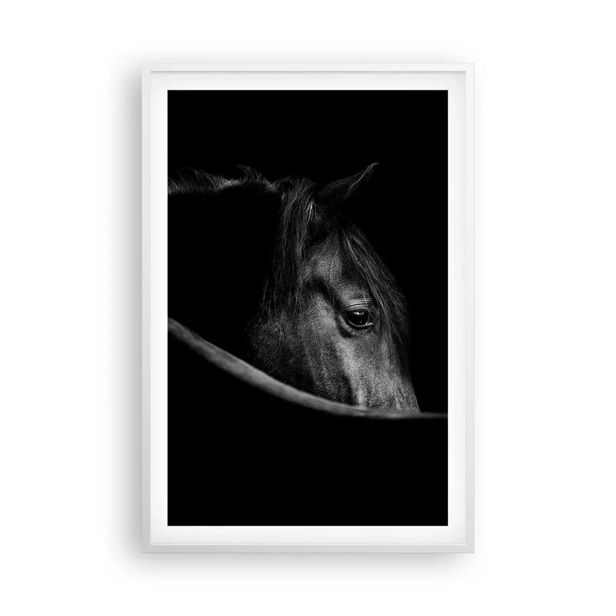 Poster in een witte lijst - Zwarte Prins - 61x91 cm