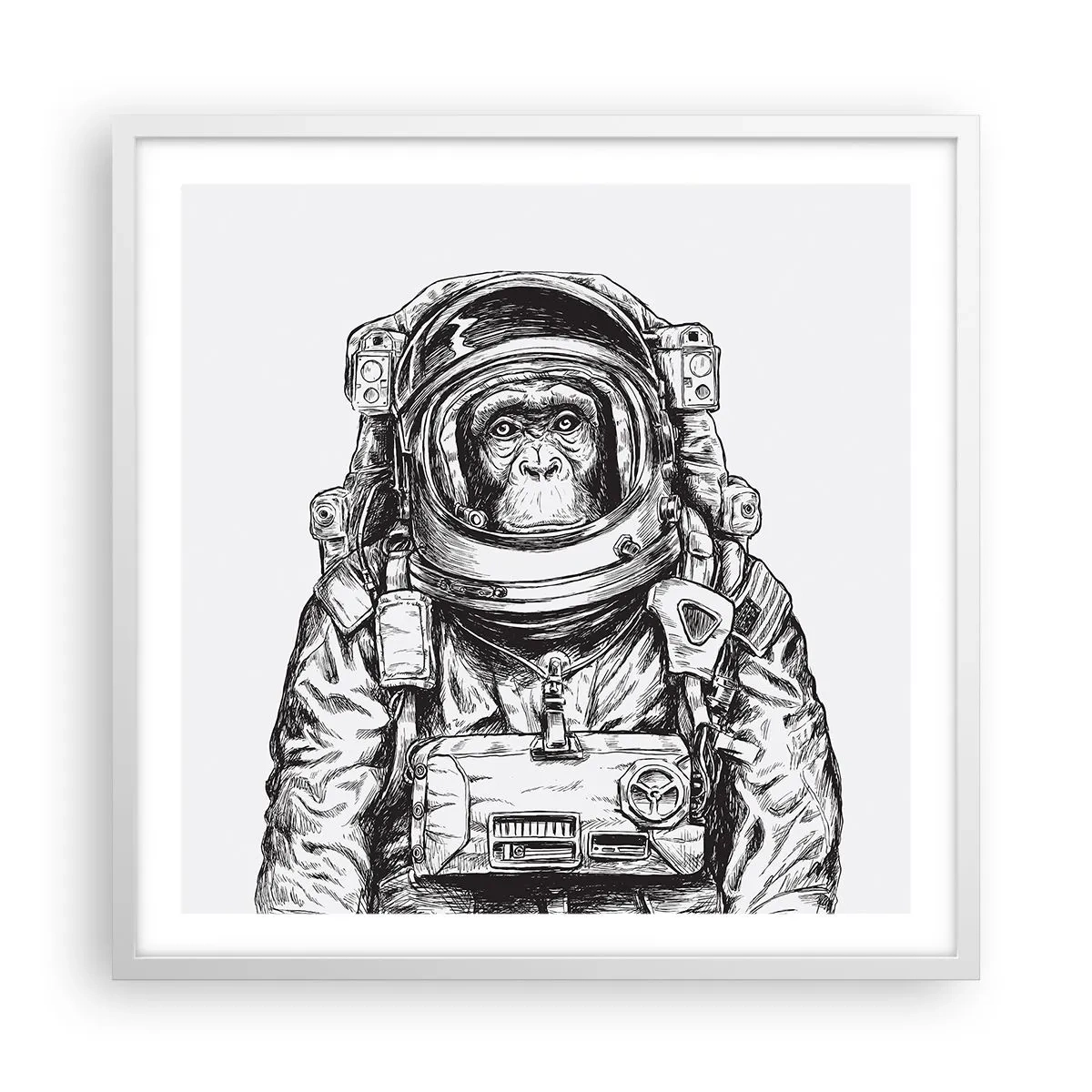 Poster in een witte lijst - Alternatieve evolutie - 60x60 cm