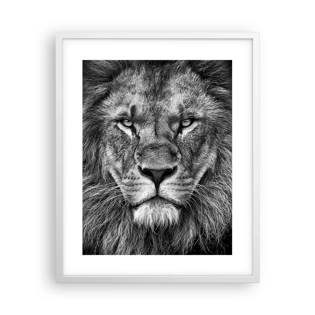 Poster in een witte lijst - In een kroningskleed - 40x50 cm