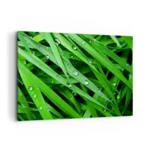 Schilderen op canvas - Speel groen - 120x80 cm
