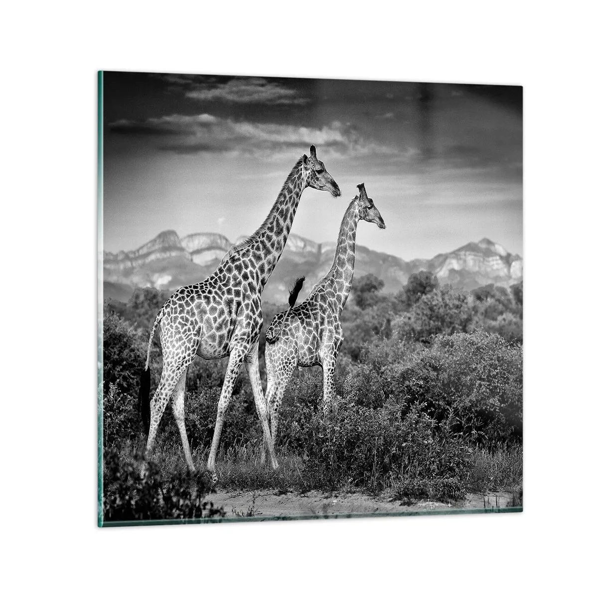 Schilderen op glas - Hoge sferen in Afrika - 40x40 cm