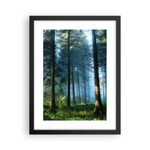 Poster in een zwarte lijst - Stralend in de ochtend - 30x40 cm