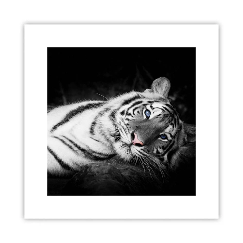 Poster - Wildheid en vrede - 30x30 cm