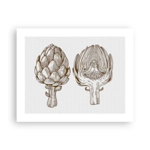 Poster - Anatomieles - 50x40 cm