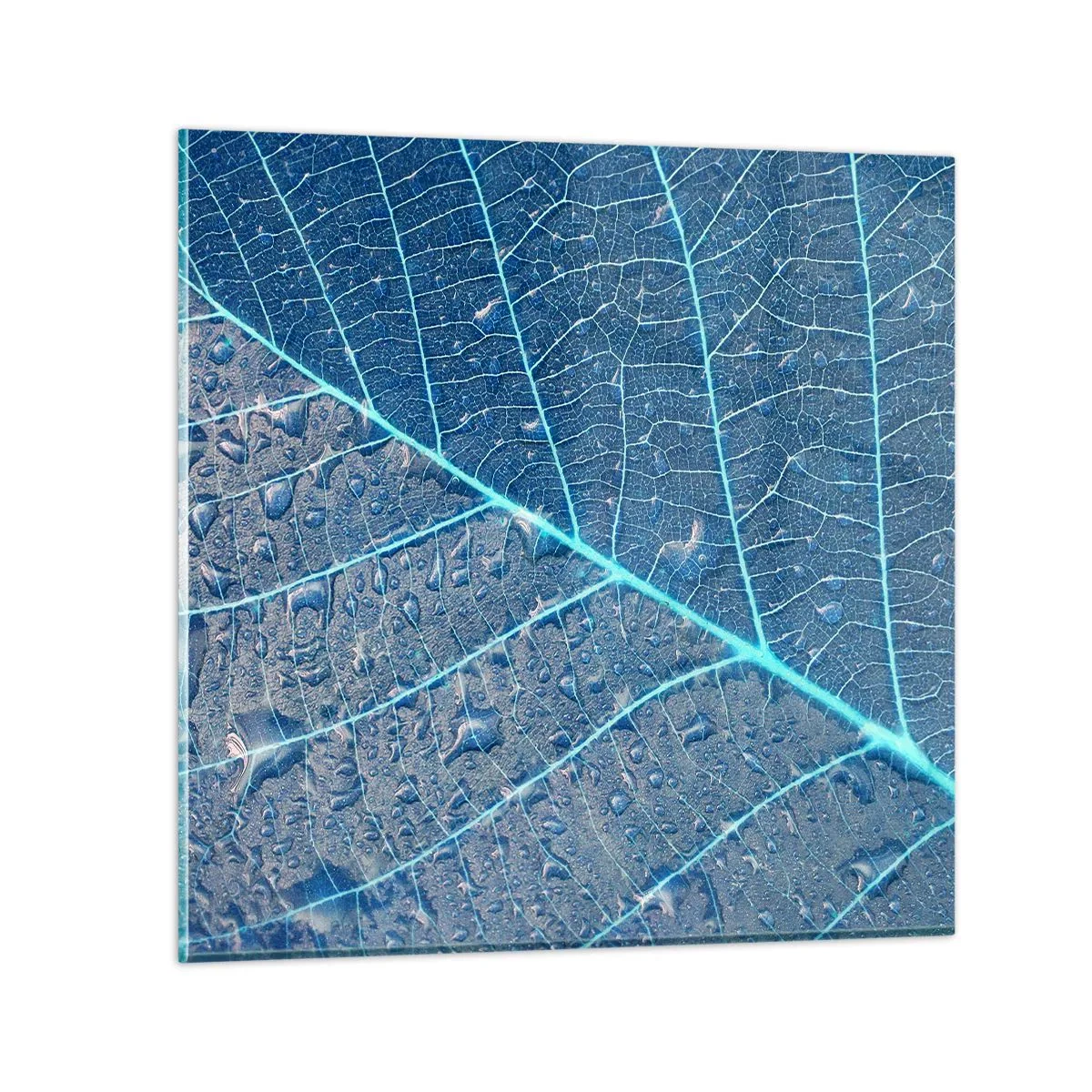 Schilderen op glas - Leven in blauw - 40x40 cm