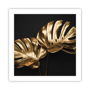 Poster - De schatten van de natuur - 50x50 cm