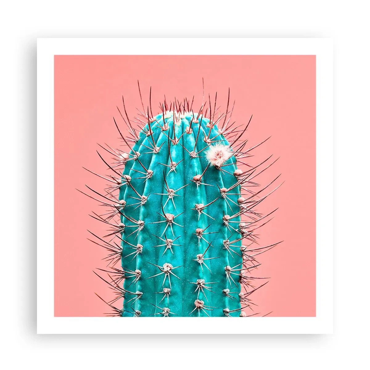 Poster - Kijk gewoon - 60x60 cm