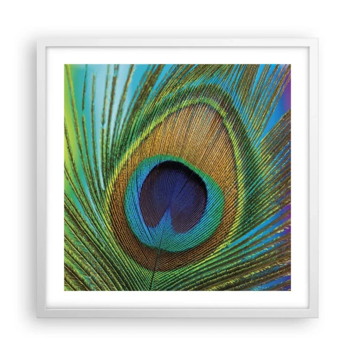 Poster in een witte lijst - Oog in oog - 50x50 cm