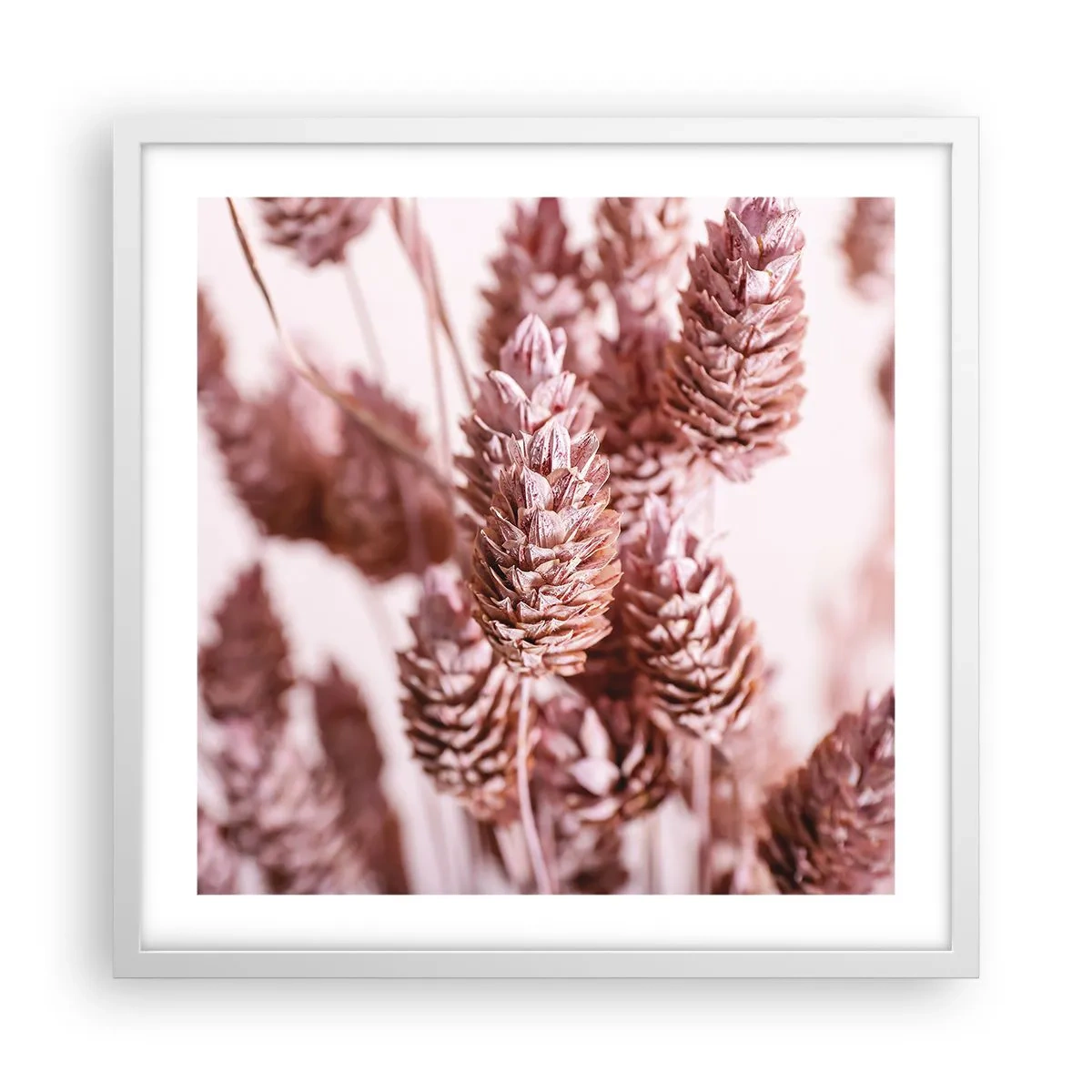 Poster in een witte lijst - Schijnbaar onopvallend - 50x50 cm