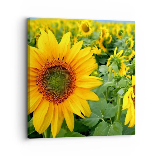 Schilderen op canvas - Honderden zonnen vlamden op - 30x30 cm