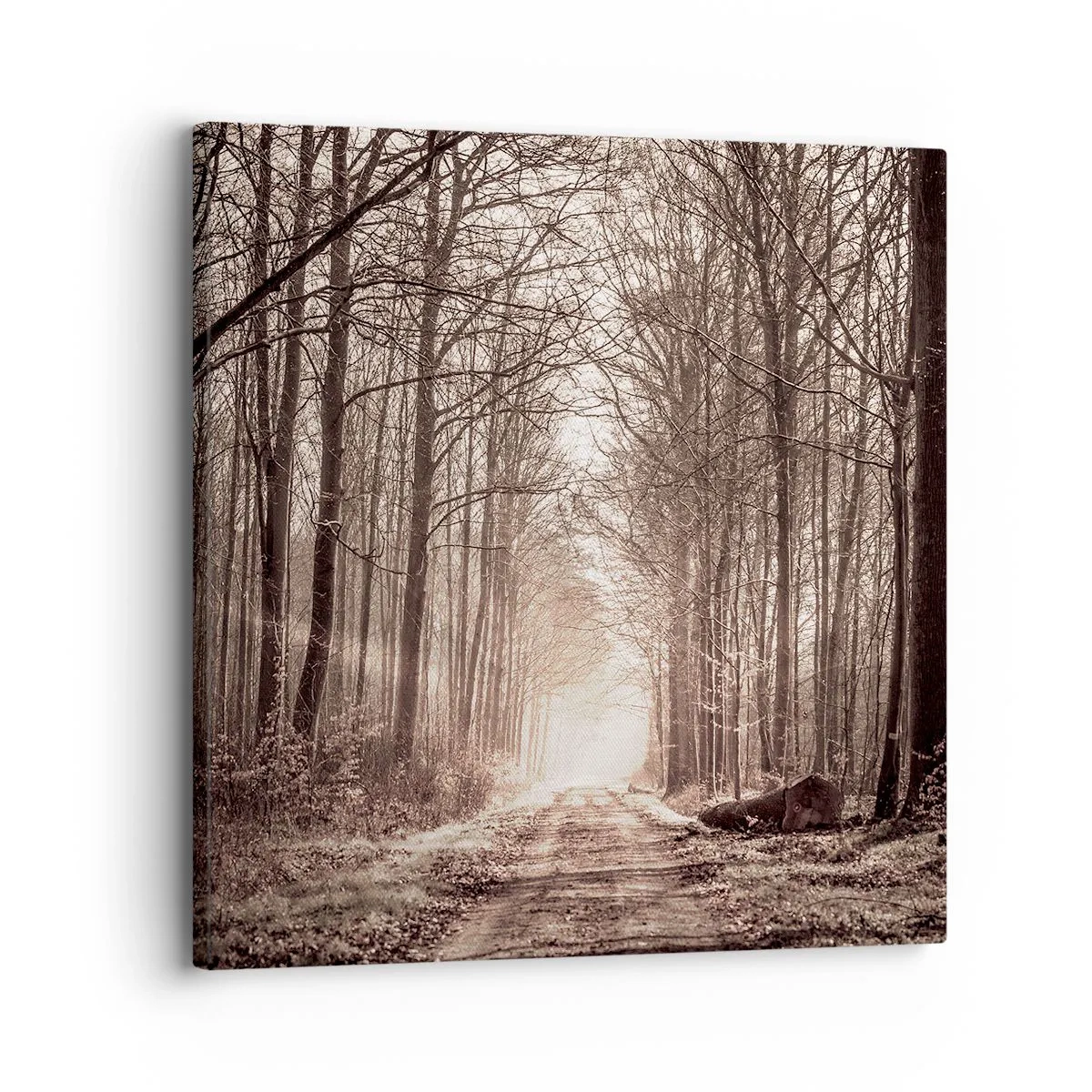 Schilderen op canvas - Boskathedraal - 30x30 cm