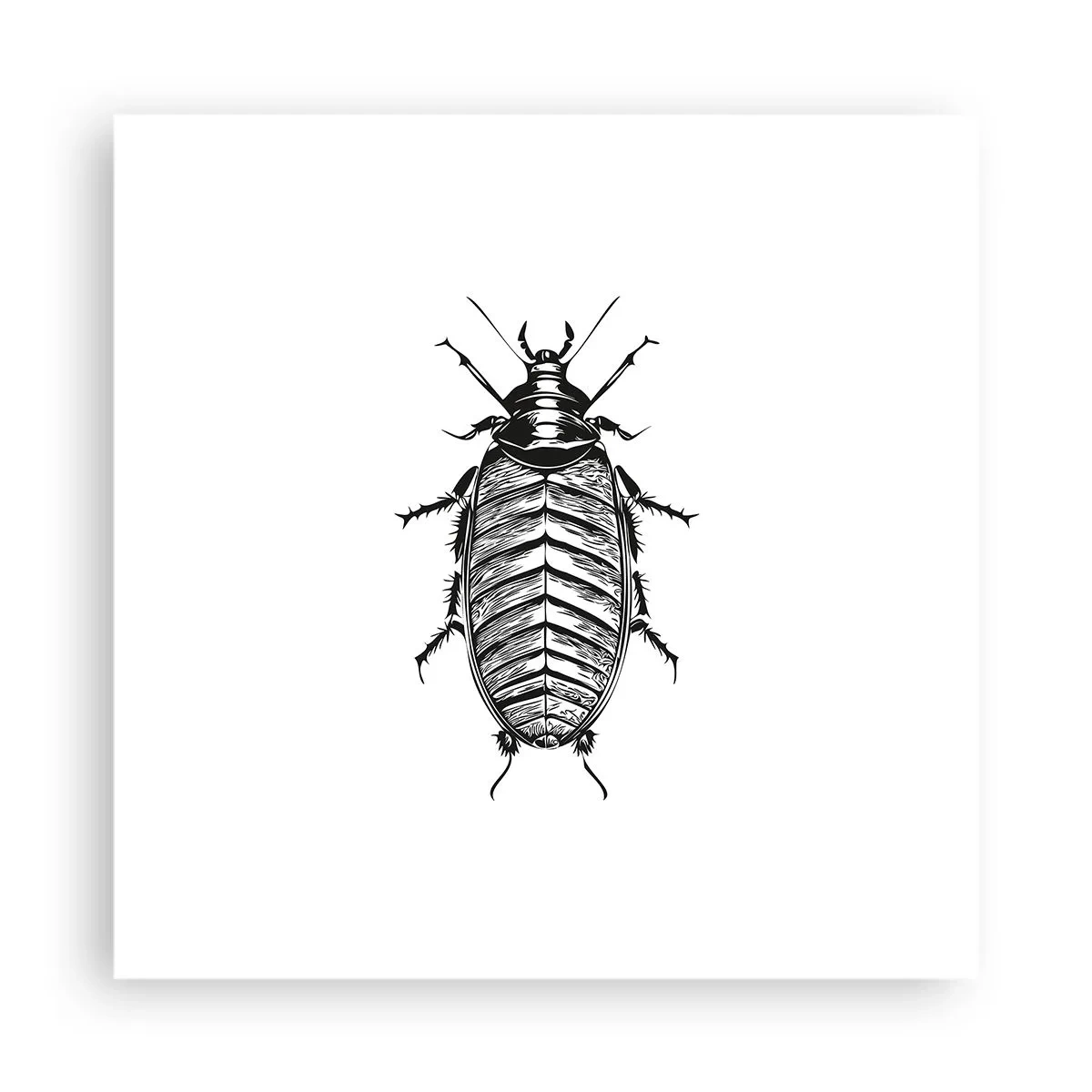 Poster - Wat een exemplaar! - 40x40 cm