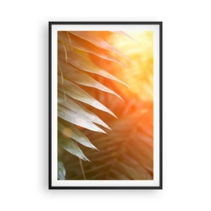 Poster in een zwarte lijst - Ochtend in de jungle - 61x91 cm