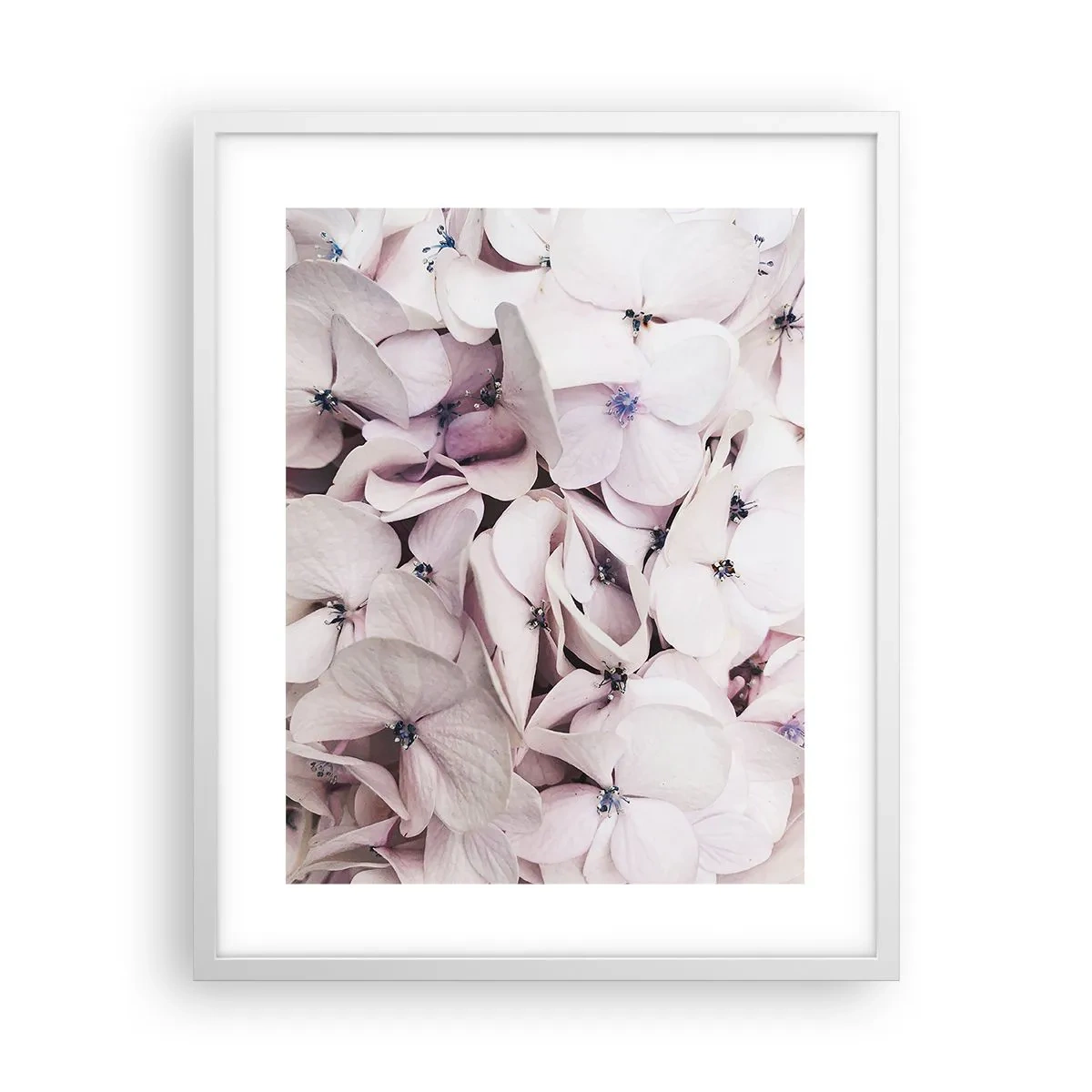 Poster in een witte lijst - In een vloed van bloemen - 40x50 cm