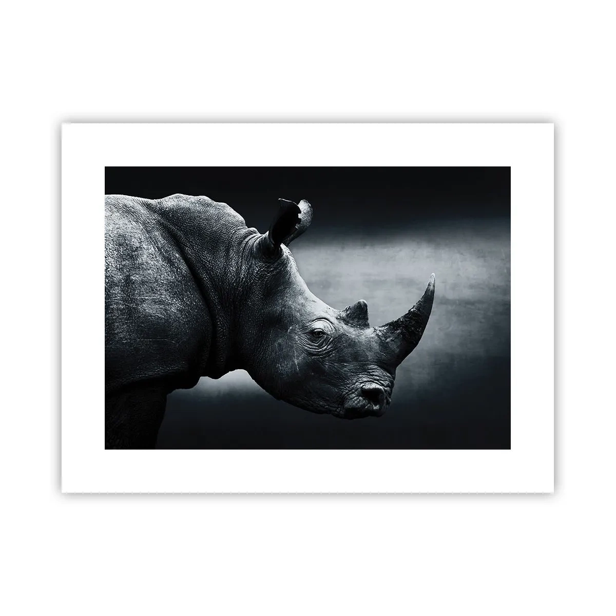 Poster - Rechts profiel - 40x30 cm