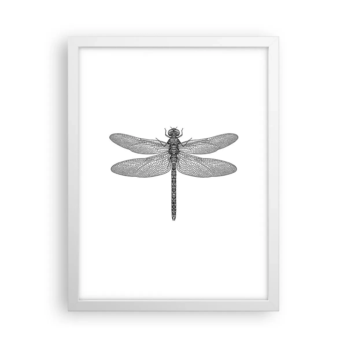 Poster in een witte lijst - Precisie van de natuur - 30x40 cm