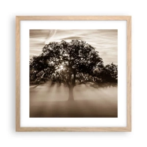 Een poster in een licht eiken lijst - Boom van goede kennis alleen - 40x40 cm
