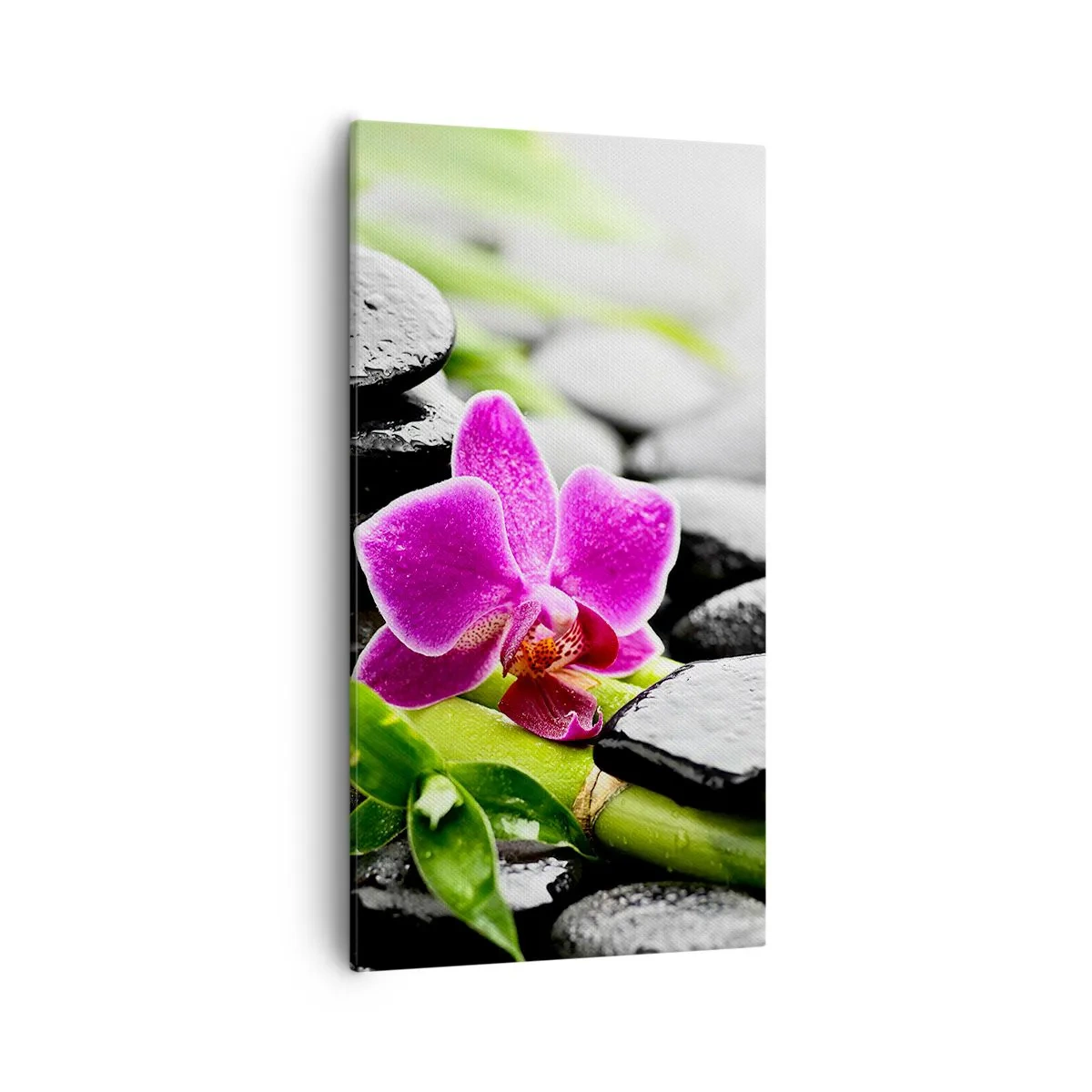 Schilderen op canvas - In een vrede evenwicht - 55x100 cm