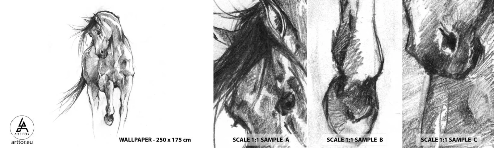 Fotobehang Staaltje Standard Eco - In een sierlijke draf - Paard, Grafisch, Dieren - 100x30 cm