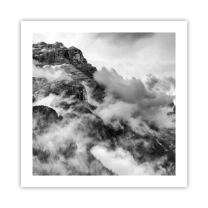 Poster - Mooi en wreed - 50x50 cm