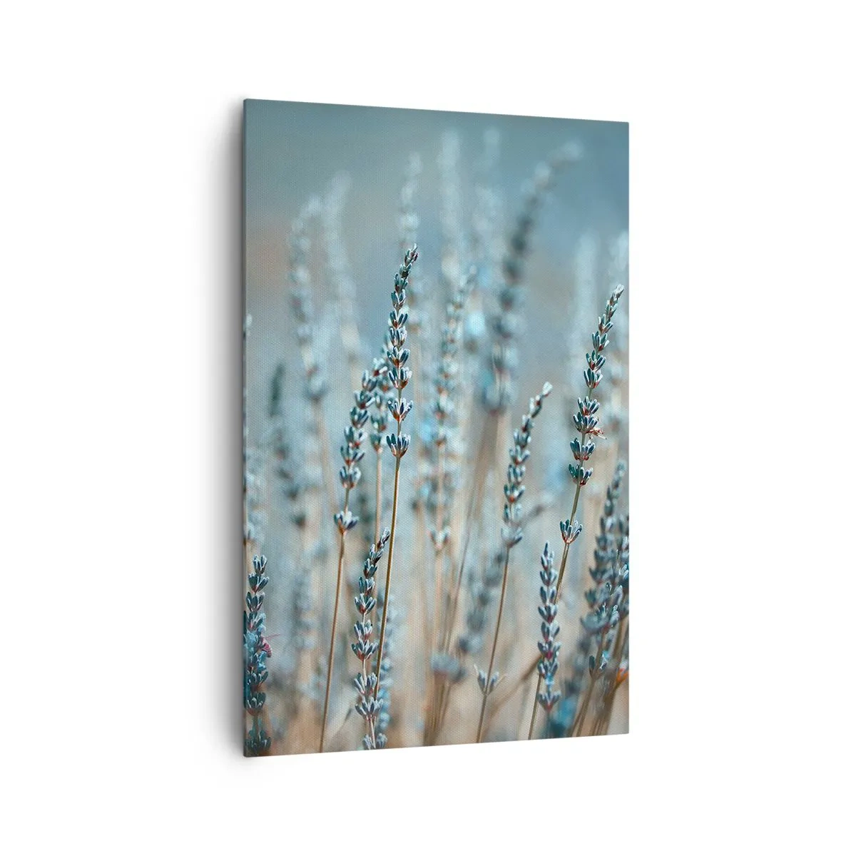 Schilderen op canvas - Geurig korenveld - 80x120 cm