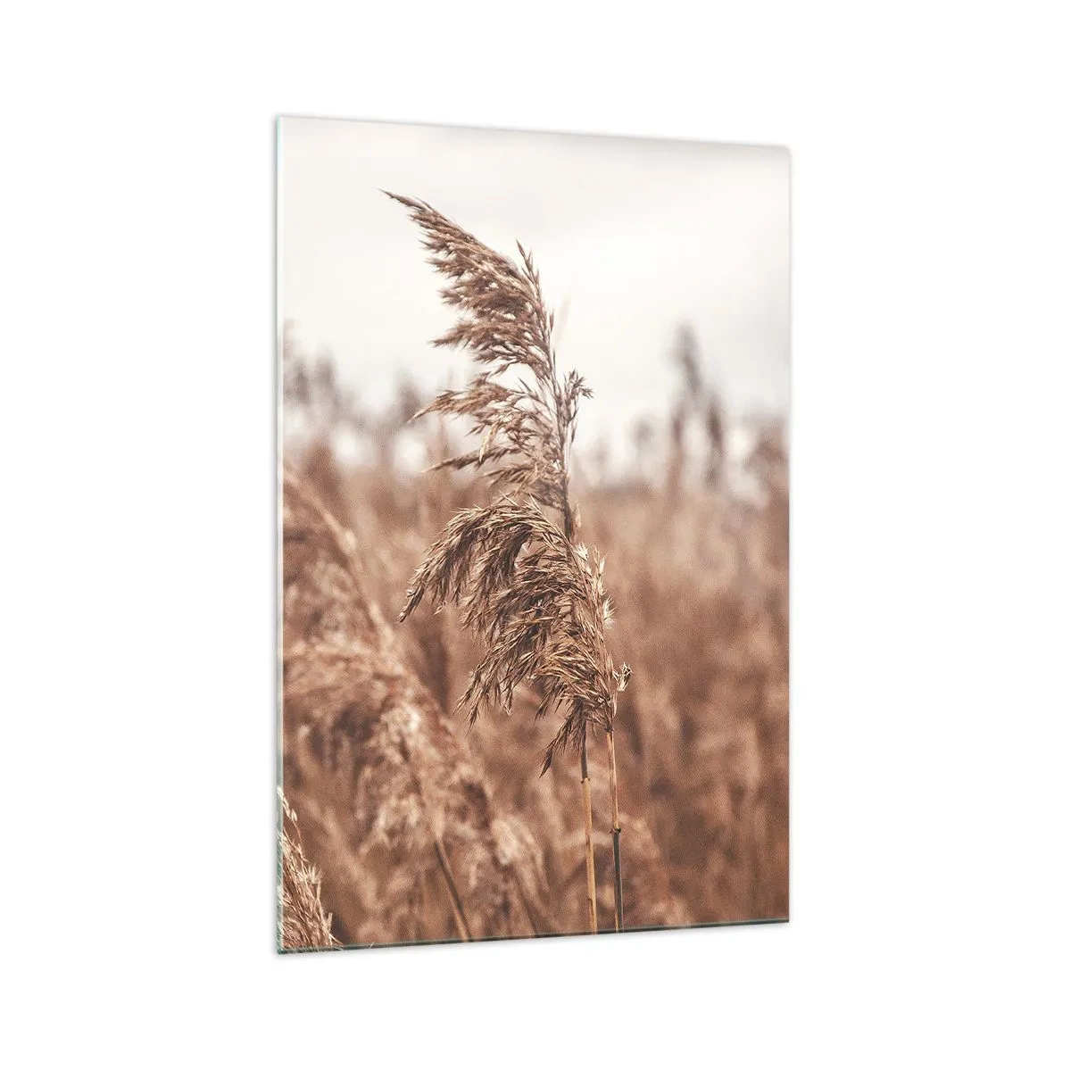 Schilderen op glas - Het is al herfst in de velden - 70x100 cm