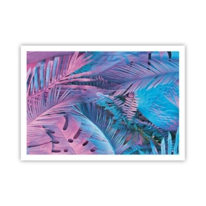 Poster - Tropen in roze en blauw - 100x70 cm