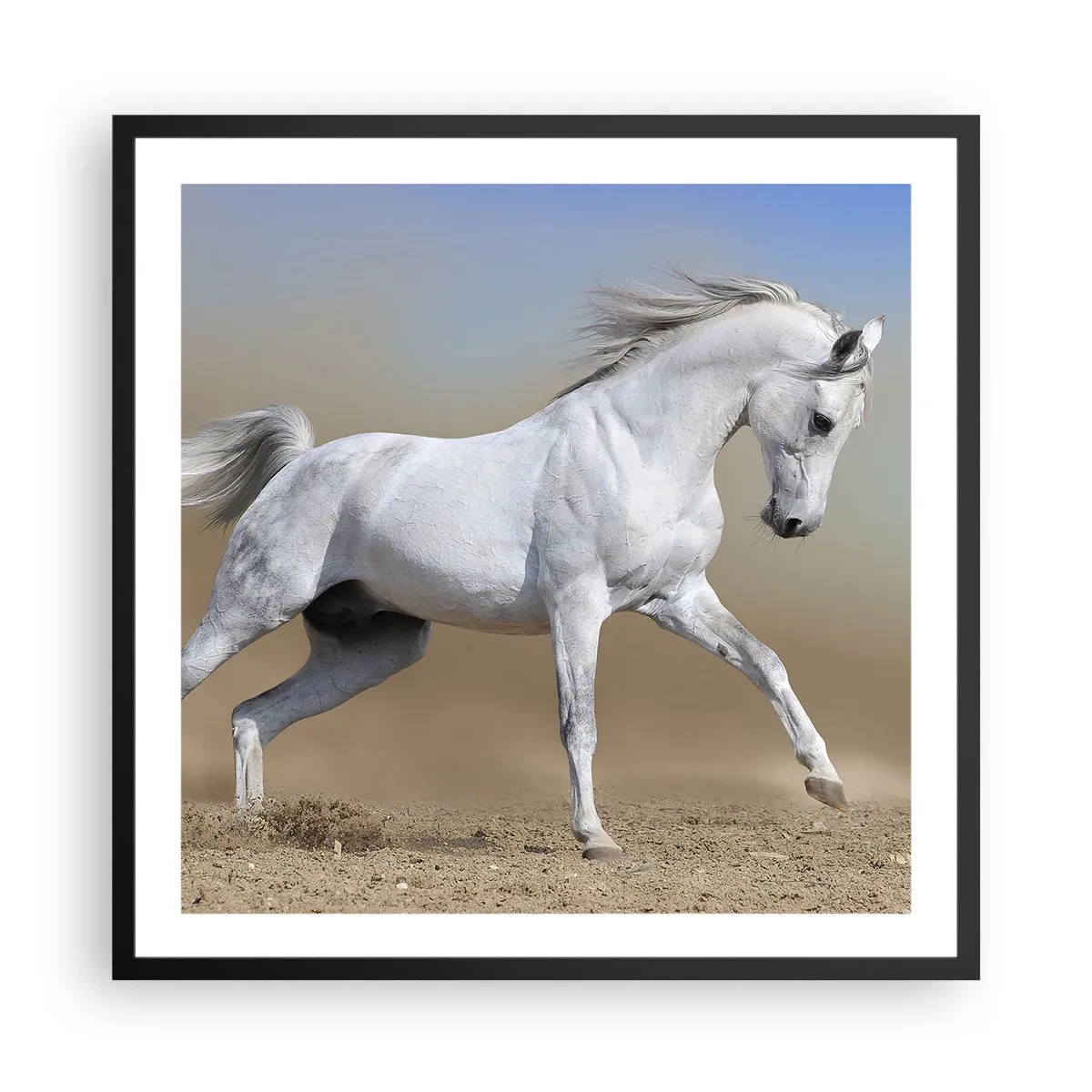 Poster in een zwarte lijst - Het mooiste Arabische sprookje - 60x60 cm