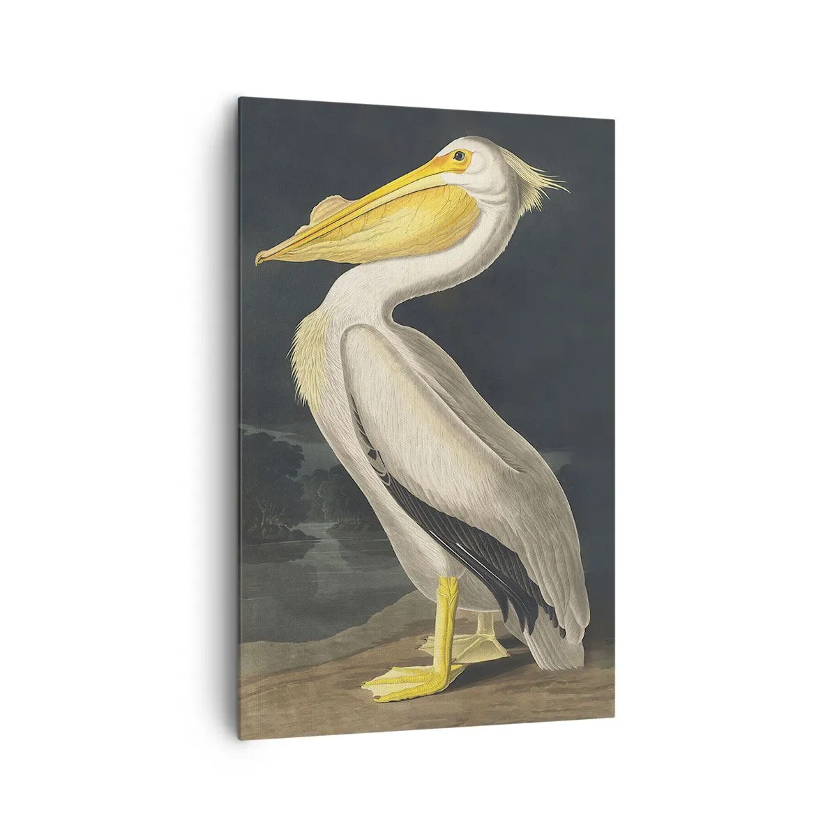 Schilderen op canvas - Vol trots - 80x120 cm