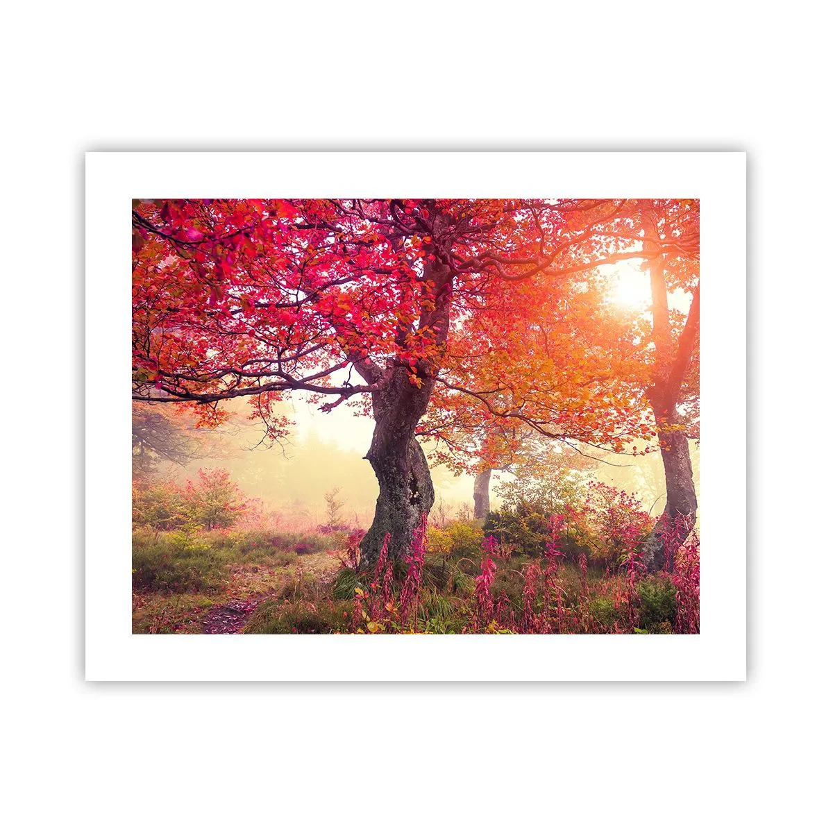 Poster - Bloeiende razernij - 50x40 cm