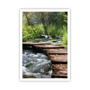 Poster - Boven de schuimige waterval - 70x100 cm