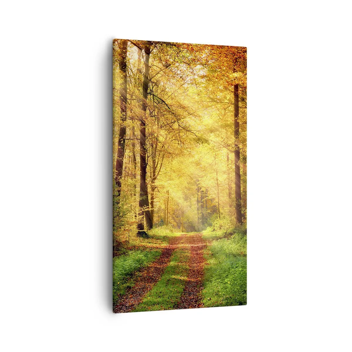 Schilderen op canvas - Bos-gouden stilte - 55x100 cm