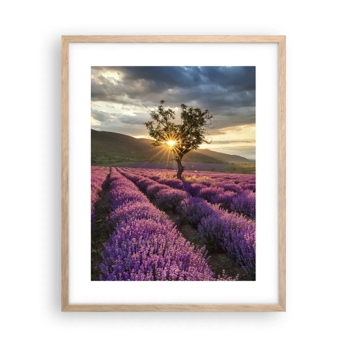 Een poster in een licht eiken lijst - Lila gekleurd aroma - 40x50 cm