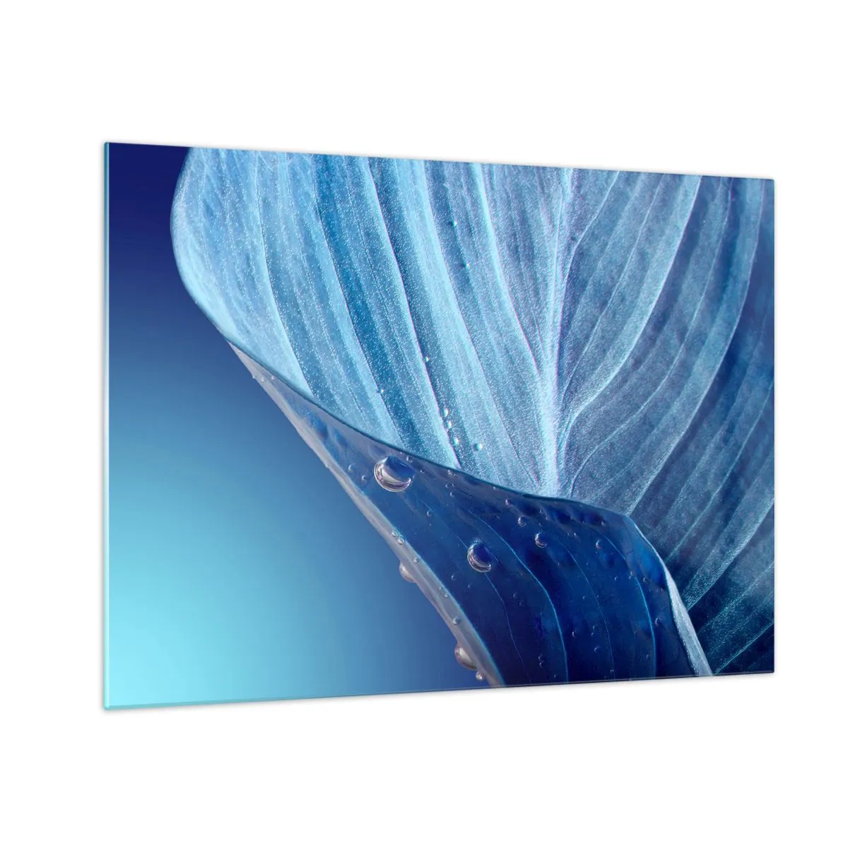 Schilderen op glas - Een blad in verschillende blauwtinten met waterdruppels tegen een achtergrond met kleurverloop. - 70x50cm - Verborgen druppels blauw - Moderne wanddecoratie voor woonkamer en slaapkamer ARTTOR