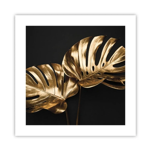 Poster - De schatten van de natuur - 40x40 cm