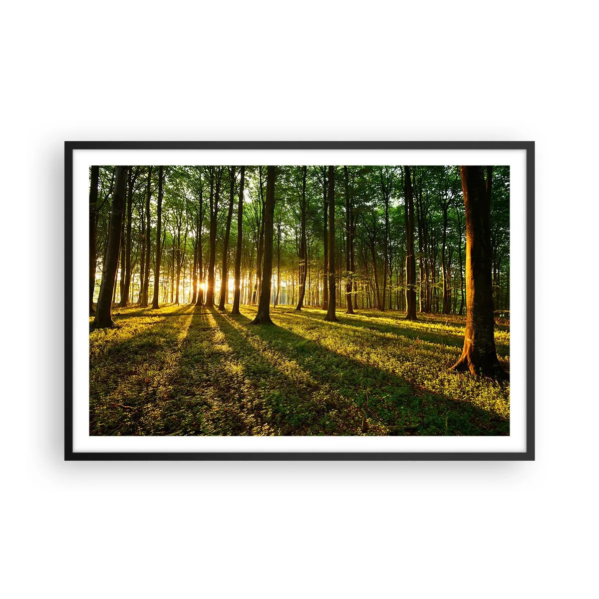 Poster in een zwarte lijst - Foto van de hele lente - 91x61 cm