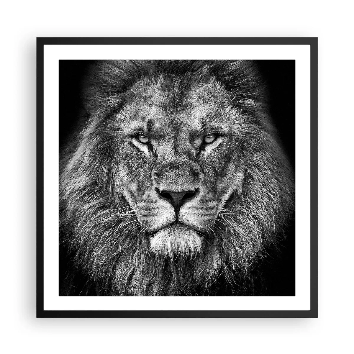 Poster in een zwarte lijst - In een kroningskleed - 60x60 cm