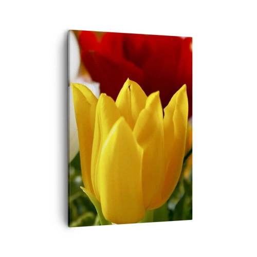 Schilderen op canvas - Tulpenkoorts - 50x70 cm