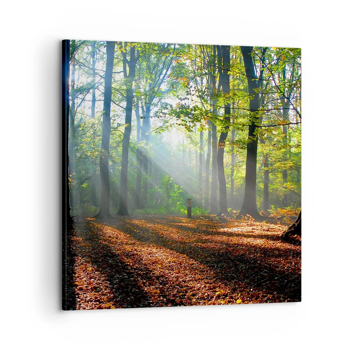Schilderen op canvas - Lichten en schaduwen - 60x60 cm