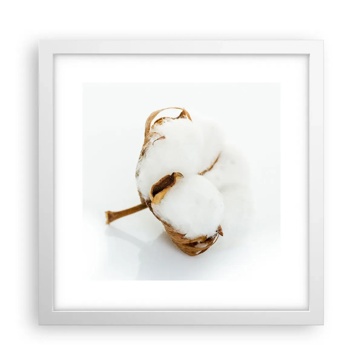 Poster in een witte lijst - Zacht van aard - 30x30 cm