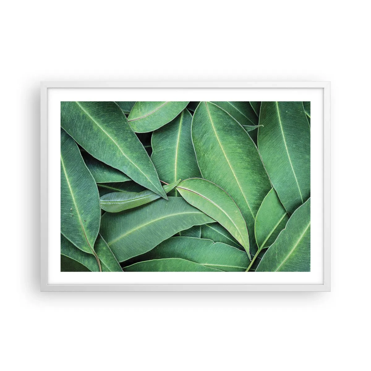 Poster in een witte lijst - Sappig en fris - 70x50 cm
