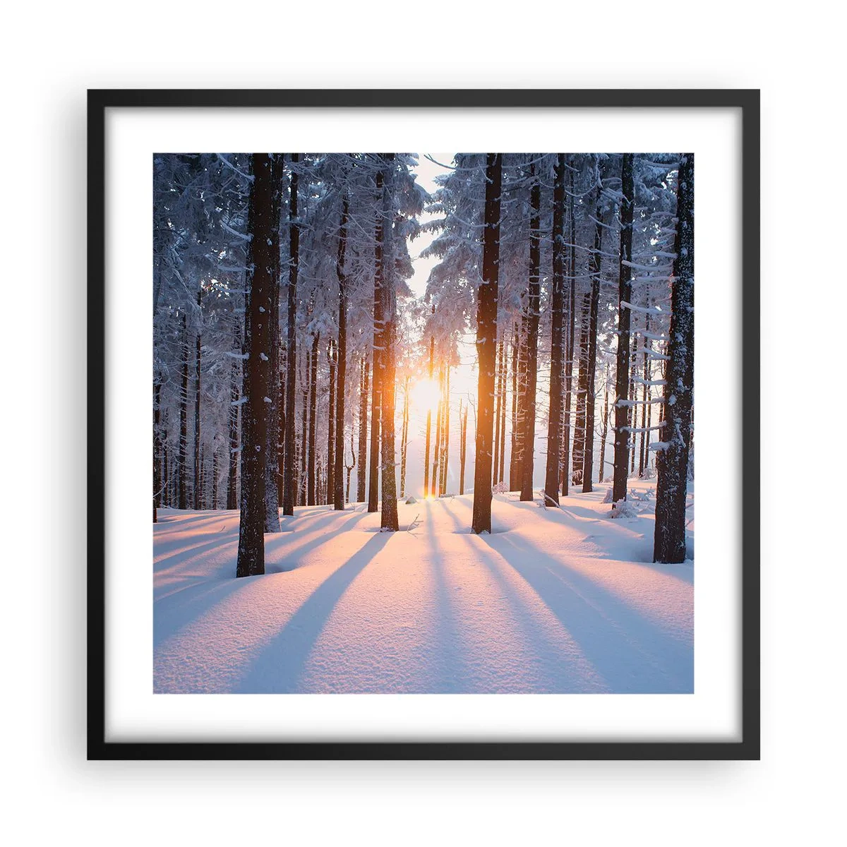 Poster in een zwarte lijst - Duidelijk in zwart-wit - 50x50 cm