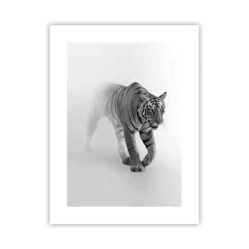 Poster - Gehurkt in de mist - 30x40 cm