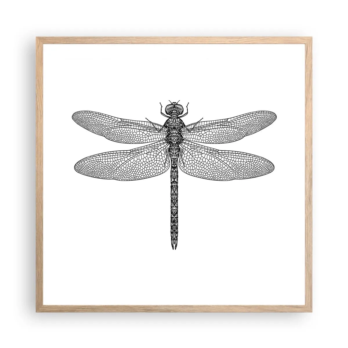 Een poster in een licht eiken lijst - Precisie van de natuur - 60x60 cm