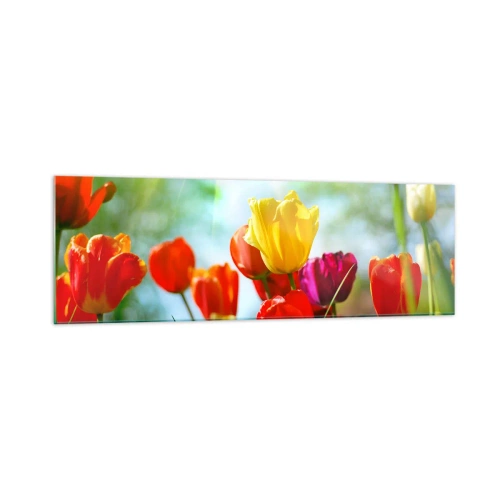 Schilderen op glas - Alle kleuren van de zon - 160x50 cm